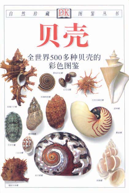 《贝壳》