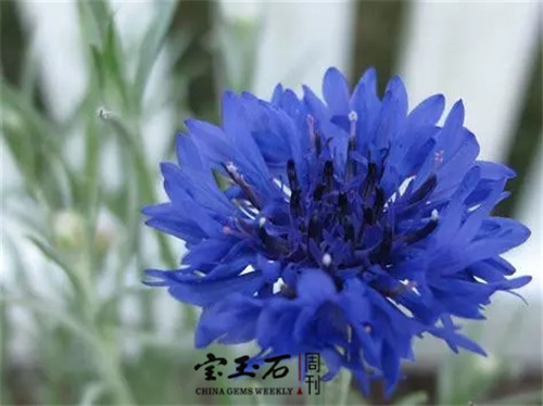 640.webp (2)_鍓湰.jpg 640.webp (2)_鍓湰.jpg
