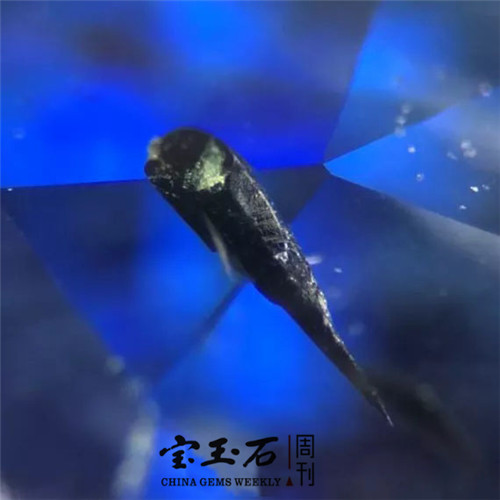 640.webp (17)_鍓湰.jpg 640.webp (17)_鍓湰.jpg